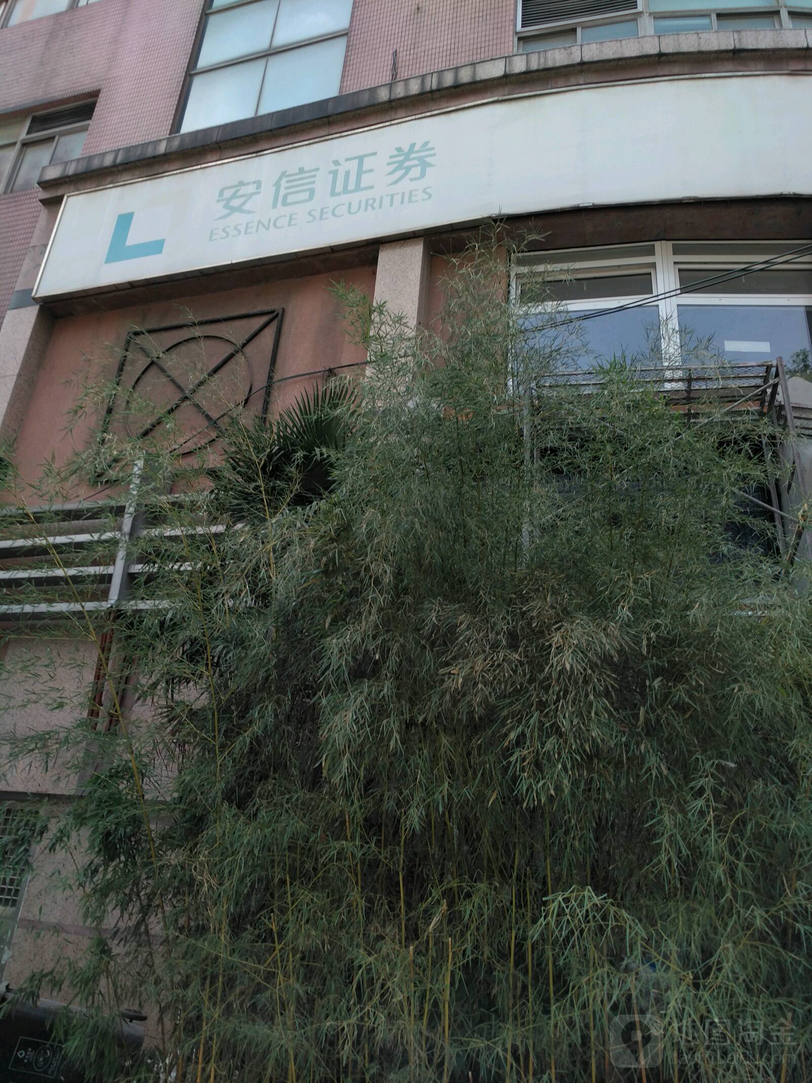 安信证券手机版下载-(安信证券手机版下载app)