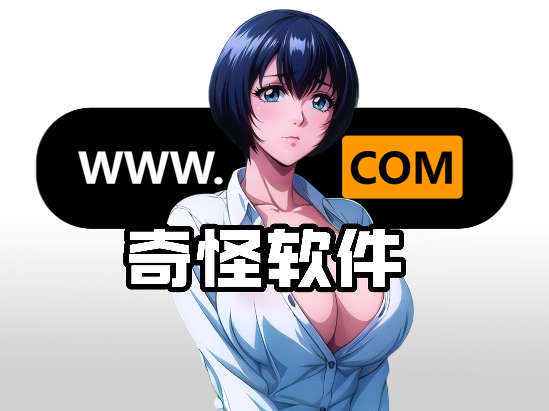 软件下载工具(软件下载工具名称)