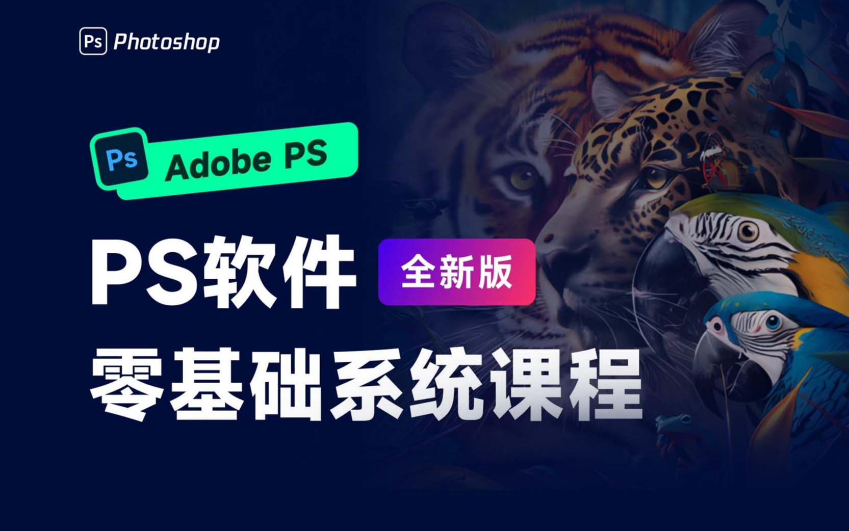 photoshop教程视频免费下载的简单介绍