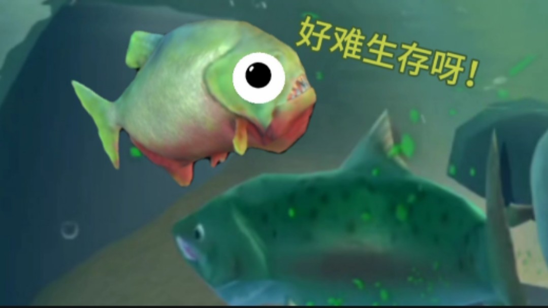 海底大猎杀手机版下载-(海底大猎杀手机版下载链接)