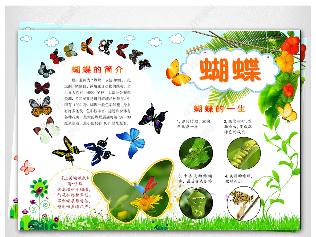 蝴蝶app下载-(蝴蝶助手电脑版下载)